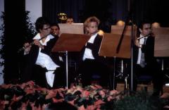 Das große Orchester