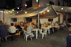 SNF2011-13