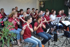 SNF2011-151