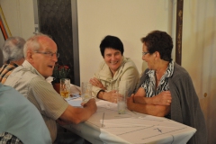 SNF2011-25
