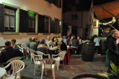 SNF2011-34