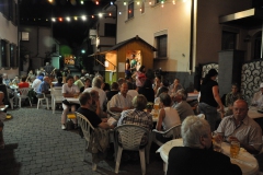 SNF2011-54