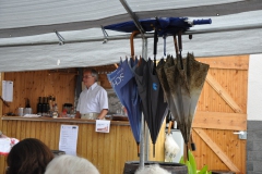SNF2011-70