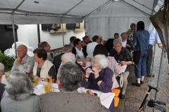 SNF2011-71